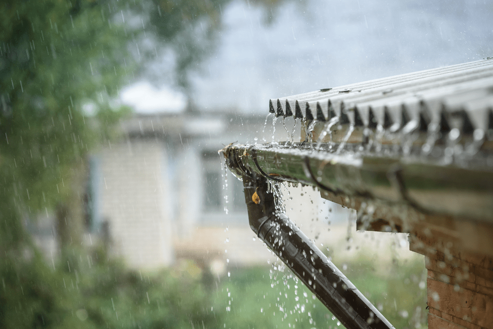 Is Roof Cleaning a Good Idea - pressure washing metairie - pressure wash dat